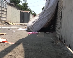 Stray Dog Hid Behind An Old Mattress Just Waiting For Her Life To Change