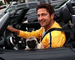 24 Celebrity Pug Owners