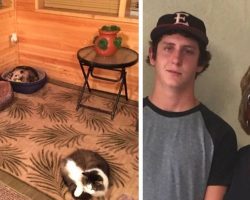 Grandma Takes Care Of Stray ‘Cat’ – Son Dies Of Laughter When He Learns It’s Not A Cat At All