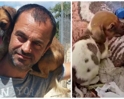 Man Finds 500 Abandoned Starving Dogs, Sells Everything To Help Them