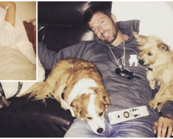 He Was Given 3 Months To Live Until His 3 Dogs Inspired A Miracle