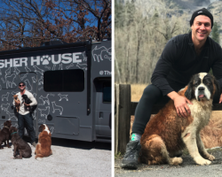 Hero Quits His Job To Travel The Country And Save All Of The Shelter Dogs