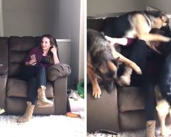 Soldier Returns Home To Her Dogs After 6 Months, They Lose It