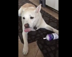 Mom Hears The Sound Of A Whipped Cream Can In The Kitchen And Investigates