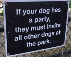 15 Weirdly Awesome Dog Signs That Will Make Any Dog Person Laugh