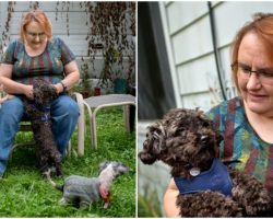 Woman Turns Her Home Into A Sanctuary, Takes In Over 200 Dogs