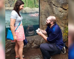 Man Proposed To Girlfriend At Zoo – With A Very Special Guest Watching