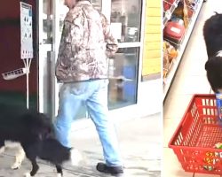 Dog Walks Into Store, Begins Picking Out His Treats- Wins Everyone’s Hearts