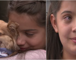 11-Yr-Old Finds Home For Old, Unwanted Dog– Cries When They Tell Her There’s More