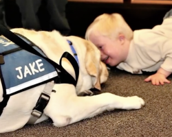 Kid’s Afraid To Tell His Traumatic Story, But Then A Dog Gets Down Beside Him
