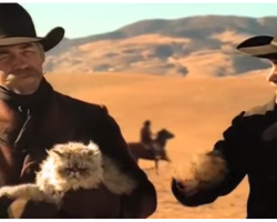 Hunky Cowboys Herding Cats In Laugh-Out-Loud Commercial Is The Best Thing On TV