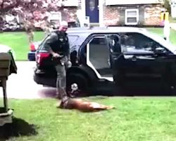 K9 Officer Throws A Fit, Won’t Go To Work. But His Partner Knows Just What To Do