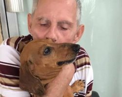 Man’s Heart Breaks Giving Up His Dog Until New Owner Shows Compassion