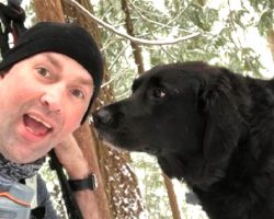 Random Dog Starts Following Hikers. They Are Overjoyed When They Read His Tag