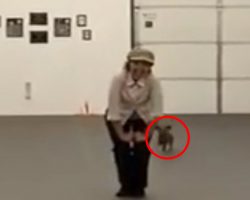 Woman stands with her Dachshund, once the music starts you’ll love this DUO