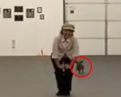 Woman stands with her Dachshund, once the music starts you’ll love this DUO