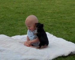 Adorable Baby And Puppy Have a Cute Moment