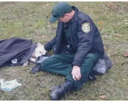 Police Deputy Helps Dog Hit By Car, Photo Explodes On Social Media