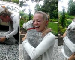 Dog Is So Overwhelmed By Joy When She Sees Her Human Again That She Passes Out