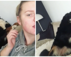 Dog Accidentally Smacks Human In The Face, Then Gives Cutest Apology Ever