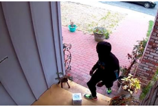 Man Builds “Glitter Fart Bombs” That Explode On Package Thieves