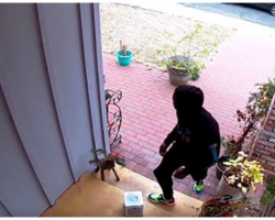 Man Builds “Glitter Fart Bombs” That Explode On Package Thieves