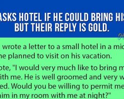 Man Asks Hotel If He Could Bring His Pet. But Their Reply Is Gold