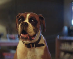 This Christmas advert is the only one you need to see this year