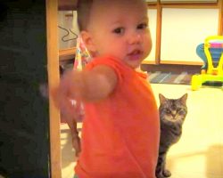 Cat and Baby Have Deep Meaningful Chats, Dad Captures Their Sweet Bond On Camera