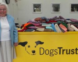 Loving 89-Year-Old Woman Has Knitted Over 450 Coats For Shelter Dogs