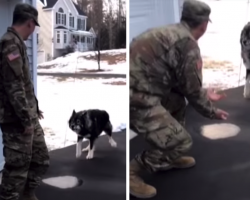 Dog Barks At ‘Stranger’ Before Recognizing Him As His Dad Who’s Been Away