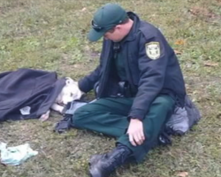 Deputy comforts dog cold and in pain after being hit by car, stays until help arrives