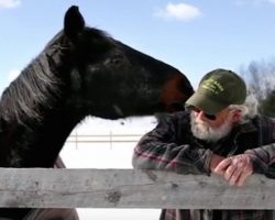 Friendship between man and 40-year-old horse saves both their lives