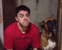 Man imitates his dog’s every move but how his dog responds Is hilarious