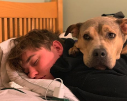 Adopted Dog Was Afraid Of Everything Until He Spent One Night With His Brother
