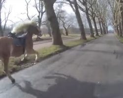 Motorcyclist Spots Runaway Horse, Owner Jumps On Back To Capture Harrowing Footage