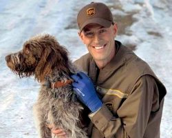 UPS Driver Hears Cries Of A Dog During A Delivery, Jumps Into Icy Pond To Save Her