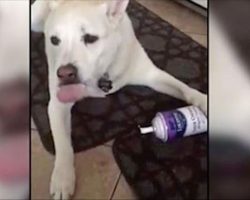 Mom hears the sound of whipped cream can in the kitchen and decides to investigate