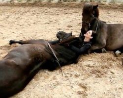 Mom Lies Down With Her 2 Big Horses, Then They Start Kissing Her