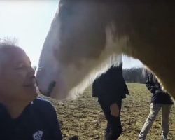 He Films Budweiser’s Newborn Baby, But When THIS Happens, I Squealed!