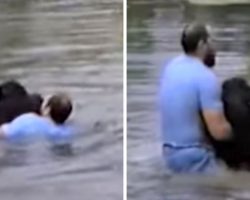 Scared Zoo Staff Won’t Go Near Drowning Chimp, So Brave Man Jumps In To Rescue