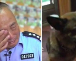 Cop cries when he sees how former service dogs are treated, refuses to stand by and do nothing