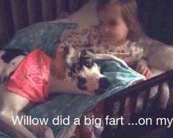 Little Girl Adorably Scolds Great Dane For Farting On Her Bed