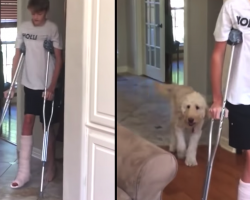 Funny Dog Mocks Human Brother’s Broken Leg ‘Walk’ Behind His Back