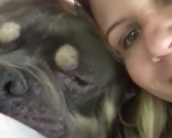 Dog Showed No Interest In Adopted Family For The First Year, Then They Sang To Him