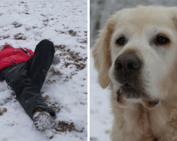 Man slips and lays paralyzed for over 20 hours in the snow, his best friend refused to leave