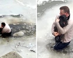 Man Sees Terrified Dog Stuck In Frozen Waters, Risks His Life & Jumps Right In