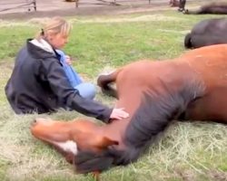 Woman Sees Horse Lying On The Ground, So She Gets Down & Slowly Approaches Him