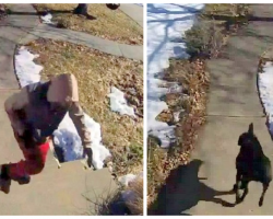 Package Thief Tries To Steal A $4 Item, Gets Caught And Chased By Family Dog