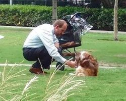 Man takes photo of man kneeling next to dog that has gone viral